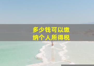 多少钱可以缴纳个人所得税