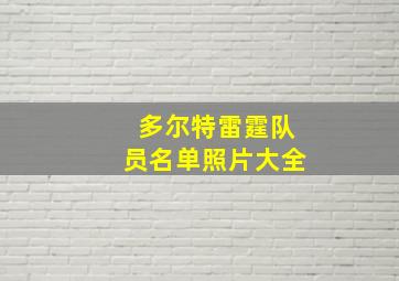 多尔特雷霆队员名单照片大全