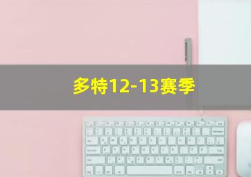 多特12-13赛季