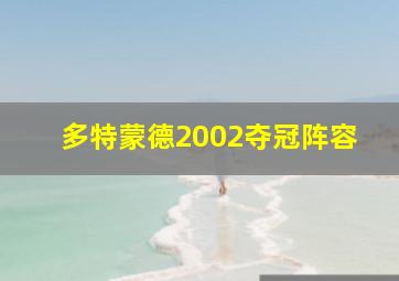 多特蒙德2002夺冠阵容