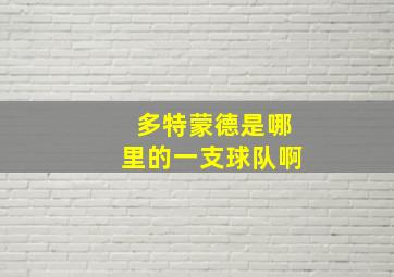 多特蒙德是哪里的一支球队啊