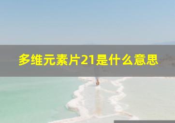 多维元素片21是什么意思