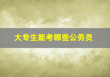 大专生能考哪些公务员