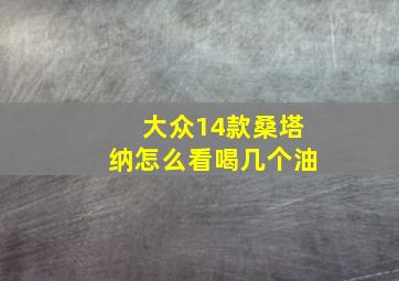 大众14款桑塔纳怎么看喝几个油