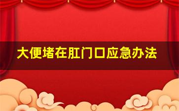 大便堵在肛门口应急办法