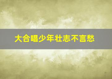 大合唱少年壮志不言愁