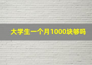 大学生一个月1000块够吗