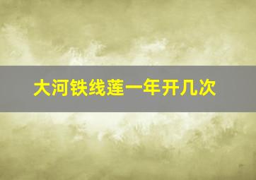 大河铁线莲一年开几次