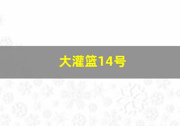 大灌篮14号