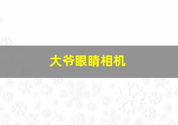 大爷眼睛相机