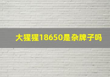 大猩猩18650是杂牌子吗