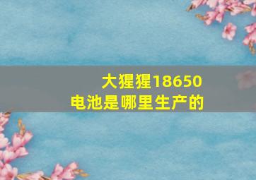 大猩猩18650电池是哪里生产的