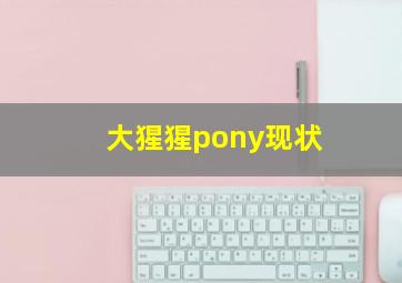 大猩猩pony现状