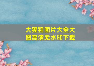 大猩猩图片大全大图高清无水印下载