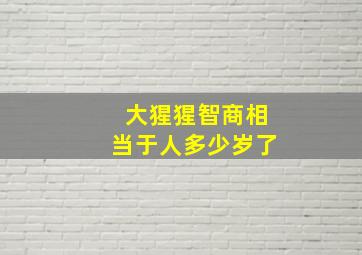 大猩猩智商相当于人多少岁了