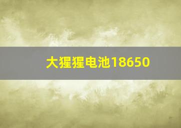 大猩猩电池18650