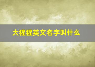 大猩猩英文名字叫什么