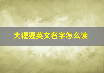 大猩猩英文名字怎么读