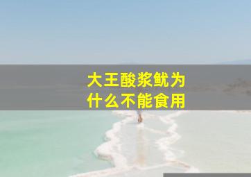 大王酸浆鱿为什么不能食用