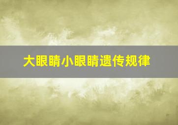 大眼睛小眼睛遗传规律