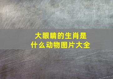 大眼睛的生肖是什么动物图片大全