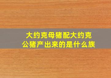 大约克母猪配大约克公猪产出来的是什么族