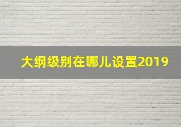 大纲级别在哪儿设置2019