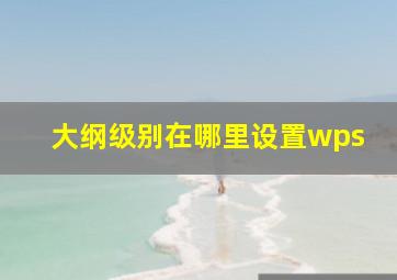 大纲级别在哪里设置wps