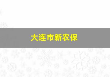 大连市新农保