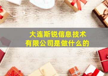 大连斯锐信息技术有限公司是做什么的