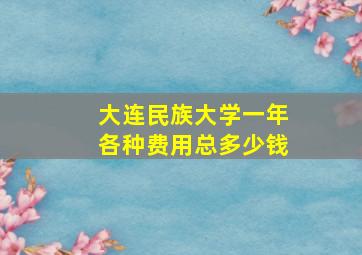 大连民族大学一年各种费用总多少钱