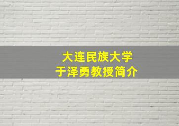 大连民族大学于泽勇教授简介