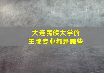 大连民族大学的王牌专业都是哪些