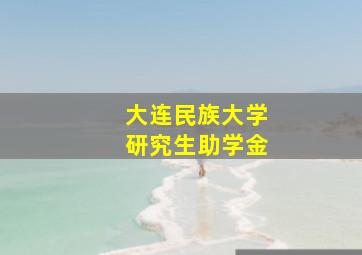 大连民族大学研究生助学金