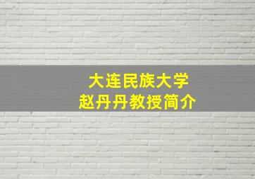 大连民族大学赵丹丹教授简介