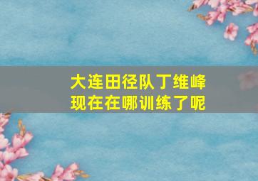 大连田径队丁维峰现在在哪训练了呢