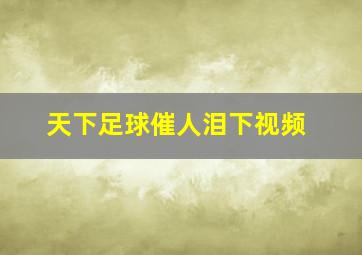 天下足球催人泪下视频