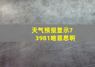 天气预报显示73981啥意思啊