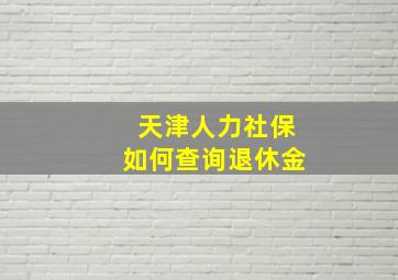 天津人力社保如何查询退休金