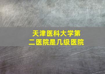 天津医科大学第二医院是几级医院