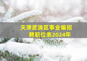 天津武清区事业编招聘职位表2024年