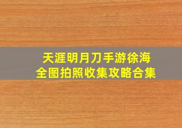 天涯明月刀手游徐海全图拍照收集攻略合集