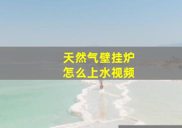 天然气壁挂炉怎么上水视频