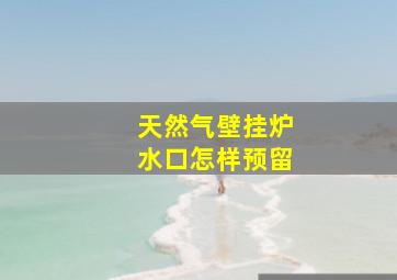 天然气壁挂炉水口怎样预留