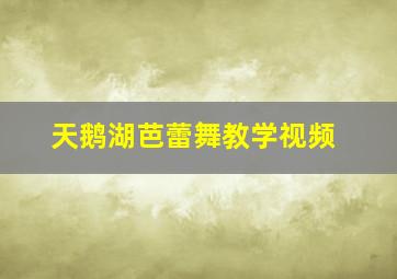 天鹅湖芭蕾舞教学视频