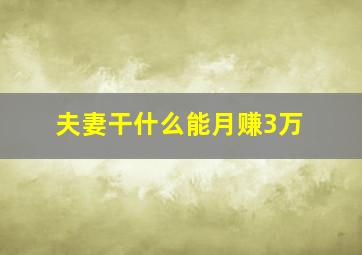 夫妻干什么能月赚3万