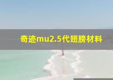 奇迹mu2.5代翅膀材料