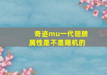 奇迹mu一代翅膀属性是不是随机的