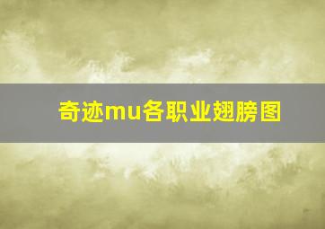 奇迹mu各职业翅膀图