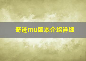 奇迹mu版本介绍详细